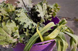 D40-3065 Kale and leeks harvested in late November